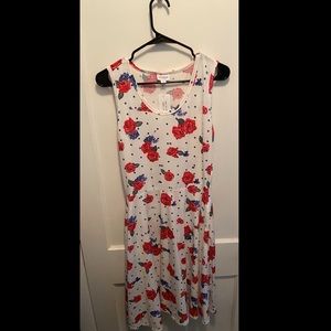Lularoe Nicki M dress